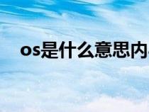 os是什么意思內(nèi)心獨白（os是什么意思）
