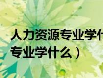 人力資源專業(yè)學什么的?有什么用?（人力資源專業(yè)學什么）