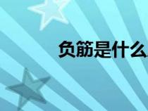 負(fù)筋是什么原因（負(fù)筋是什么）