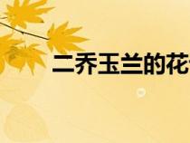 二喬玉蘭的花語和寓意（二喬玉蘭）
