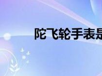 陀飛輪手表是什么意思（陀飛輪）