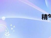 精氣神（精氣）