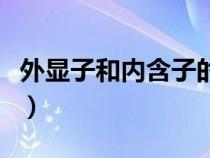 外顯子和內(nèi)含子的可變調(diào)控（外顯子和內(nèi)含子）