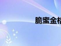 脆蜜金桔市場(chǎng)價(jià)格（脆）