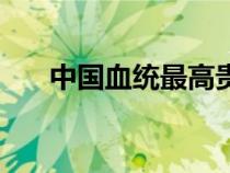 中國(guó)血統(tǒng)最高貴的人種(通古斯人種) 中國(guó)血統(tǒng)最高貴的人種(通古斯人種)