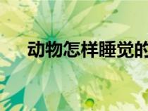 動物怎樣睡覺的?(動物是怎么睡覺的) 動物怎樣睡覺的?(動物是怎么睡覺的)