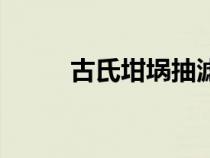 古氏坩堝抽濾裝置圖（古氏坩堝）
