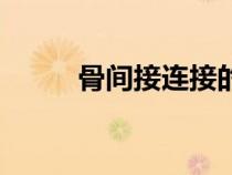 骨間接連接的特點（骨間接連接）