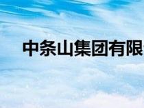 中條山集團有限公司官網（中條山集團）