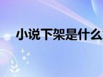 小說(shuō)下架是什么意思（下架是什么意思）