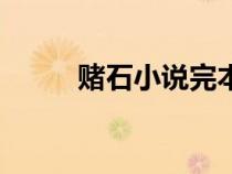 賭石小說完本書（賭石小說完本）