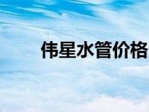 偉星水管價格多少一米（偉星水管）