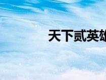 天下貳英雄榜官網(wǎng)（天下貳）