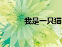 我是一只貓小說（我是一只貓）