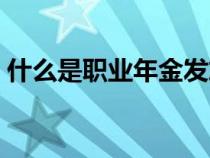 什么是職業(yè)年金發(fā)放時(shí)間（什么是職業(yè)年金）