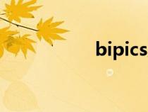 bipics后綴（bipics）