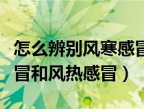 怎么辨別風(fēng)寒感冒和風(fēng)熱感冒(什么是風(fēng)寒感冒和風(fēng)熱感冒) 怎么辨別風(fēng)寒感冒和風(fēng)熱感冒(什么是風(fēng)寒感冒和風(fēng)熱感冒)