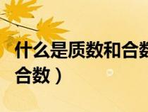 什么是質數和合數有什么區(qū)別（什么是質數和合數）