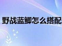 野戰(zhàn)藍(lán)鯽怎么搭配最好(野戰(zhàn)藍(lán)鯽怎么搭配) 野戰(zhàn)藍(lán)鯽怎么搭配最好(野戰(zhàn)藍(lán)鯽怎么搭配)