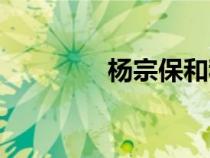 楊宗保和穆桂英（楊宗保）