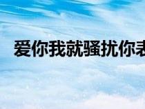 愛你我就騷擾你表情包（愛你我就騷擾你）