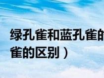 綠孔雀和藍(lán)孔雀的區(qū)別是什么（綠孔雀和藍(lán)孔雀的區(qū)別）