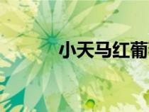 小天馬紅葡萄酒價(jià)格（小天馬）