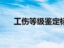 工傷等級(jí)鑒定標(biāo)準(zhǔn)及賠償(工傷等級(jí)) 工傷等級(jí)鑒定標(biāo)準(zhǔn)及賠償(工傷等級(jí))