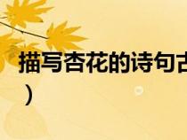 描寫(xiě)杏花的詩(shī)句古詩(shī)三年級(jí)(描寫(xiě)杏花的詩(shī)句) 描寫(xiě)杏花的詩(shī)句古詩(shī)三年級(jí)(描寫(xiě)杏花的詩(shī)句)