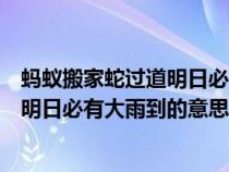 螞蟻搬家蛇過道明日必有大雨到是諺語嗎(螞蟻搬家蛇過道明日必有大雨到的意思) 螞蟻搬家蛇過道明日必有大雨到是諺語嗎(螞蟻搬家蛇過道明日必有大雨到的意思)