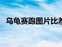 烏龜賽跑圖片比差距漫畫（烏龜賽跑圖片）