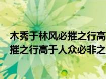 木秀于林風(fēng)必摧之行高于人眾必非之怎樣回（木秀于林風(fēng)必摧之行高于人眾必非之）