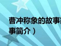 曹沖稱象的故事簡(jiǎn)介概括30（曹沖稱象的故事簡(jiǎn)介）