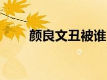 顏良文丑被誰(shuí)（顏良文丑怎么死的）