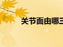 關節(jié)面由哪三部分組成（關節(jié)面）