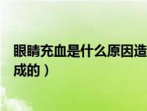 眼睛充血是什么原因造成的怎么辦（眼睛充血是什么原因造成的）