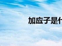 加應(yīng)子是什么水果（加應(yīng)子）
