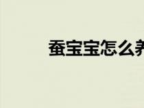 蠶寶寶怎么養(yǎng)的（蠶寶寶怎么養(yǎng)）