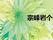 宗峰巖個人資料（宗峰巖）