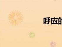 呼應(yīng)的拼音（呼應(yīng)）