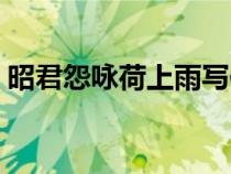 昭君怨詠荷上雨寫(xiě)作手法（昭君怨詠荷上雨）