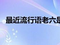 最近流行語老六是什么意思（最近流行語）