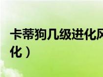卡蒂狗幾級進化風(fēng)速狗白金光（卡蒂狗幾級進化）