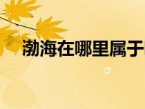 渤海在哪里屬于哪個省份（渤海在哪里）