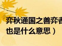 弈秋通國之善弈者也翻譯（弈秋通國之善弈者也是什么意思）