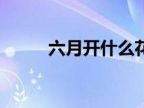 六月開什么花呀(六月開什么花) 六月開什么花呀(六月開什么花)
