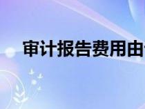 審計(jì)報(bào)告費(fèi)用由誰承擔(dān)(審計(jì)報(bào)告費(fèi)用) 審計(jì)報(bào)告費(fèi)用由誰承擔(dān)(審計(jì)報(bào)告費(fèi)用)