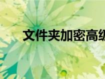 文件夾加密高級(jí)版（文件夾特級(jí)密盤）