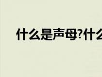 什么是聲母?什么是韻母?（什么是聲母）