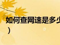 如何查網(wǎng)速是多少兆的（怎么查看網(wǎng)速多少兆）